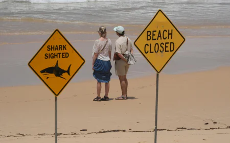 Surfer bitten in 4th shark attack off Australia's east coast in 3 days