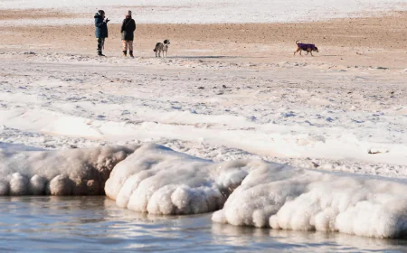 Meteorologists blame a stretched polar vortex, moisture, lack of sea ice for dangerous winter blast