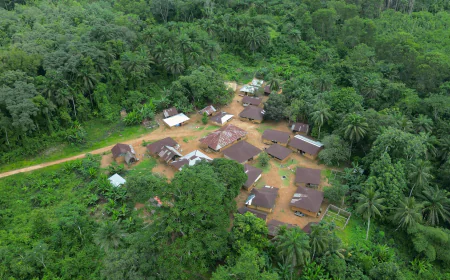 Liberia's largest gold miner repeatedly spilled dangerous chemicals, records show