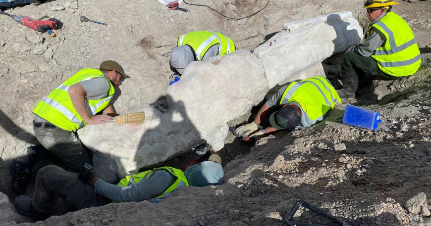 Fossils found at Dinosaur National Monument, first excavation in 100 years