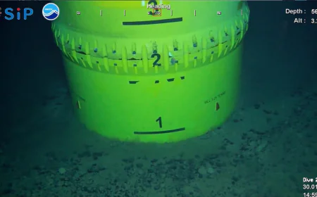 Japan retrieves rare earth-rich mud from seabed to lower reliance on China