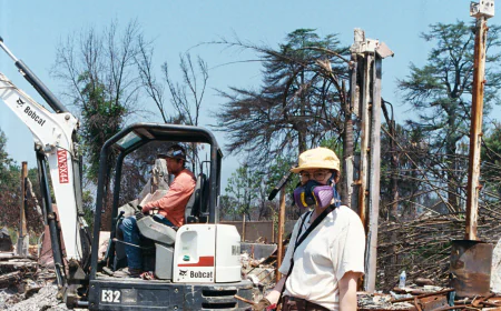 A Chimney in Search of a Home Lands 3,000 Miles Away