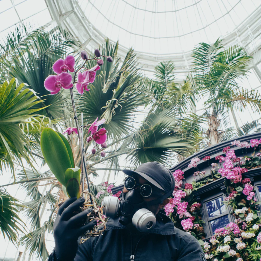 Who Is That Masked Man? The Orchids Aren’t Telling.