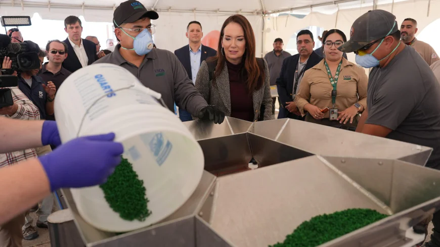 Texas center to disperse sterile screwworm flies to block parasite it spawns