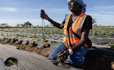 Some West African farmers turn to TikTok as part of agriculture's changing image