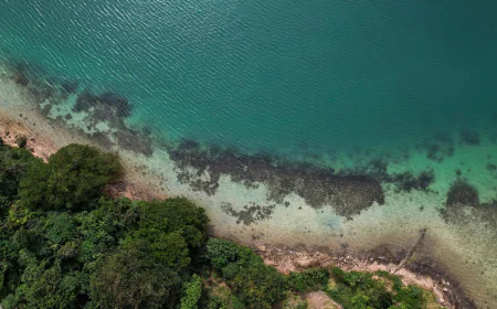 Sea levels higher than thought due to "methodological blind spot," study says