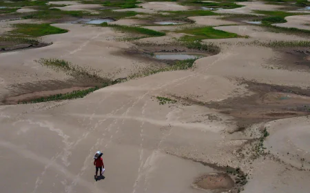 Heat waves that spark damaging droughts are happening more frequently, study finds