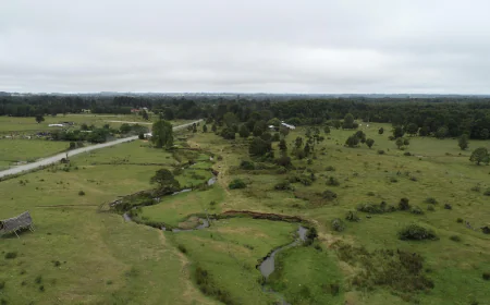New study challenges a site that's key to how humans got to the Americas