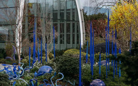Man Arrested After Valuable Glass Artwork Is Shattered at Seattle Museum
