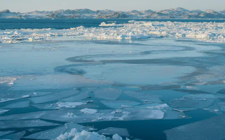 Arctic sea ice hits lowest winter level as heat records are shattered worldwide