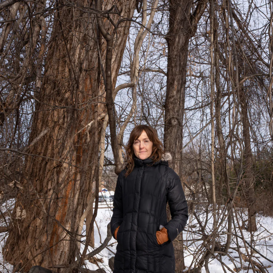 Reclaimed Trees Get Creative Reuse With New York Heartwoods