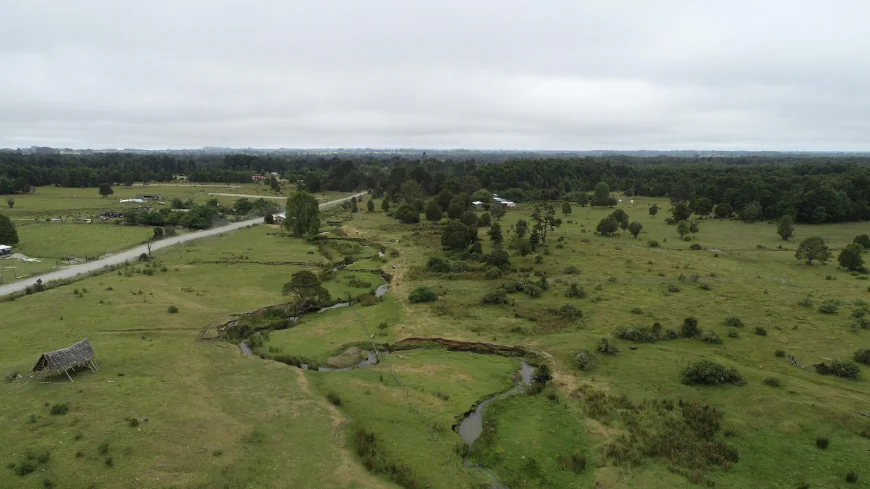 New study challenges a site that's key to how humans got to the Americas