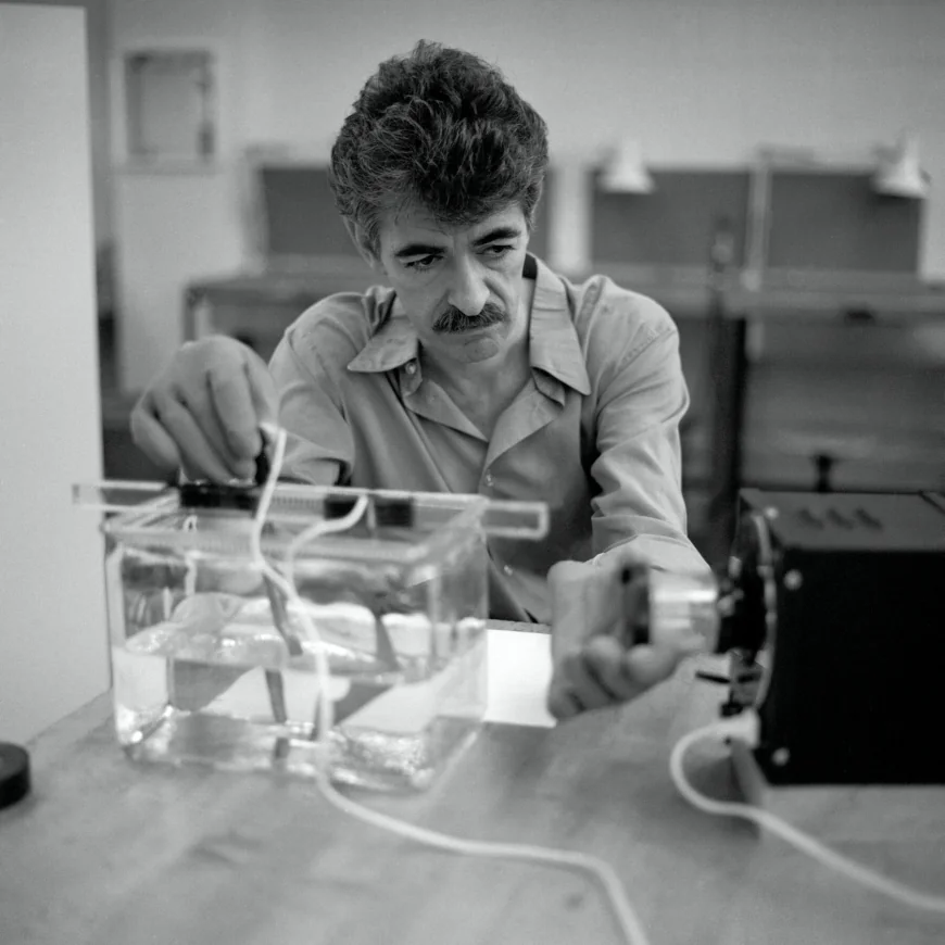 Thomas Gentille, Artist Who Made Wearable Sculpture, Dies at 89