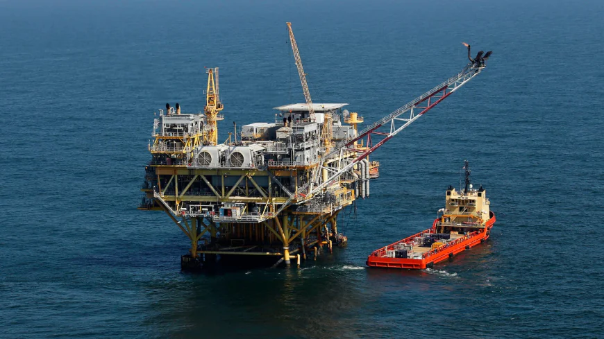 Judge won't block meeting that could exempt Gulf drilling from Endangered Species Act