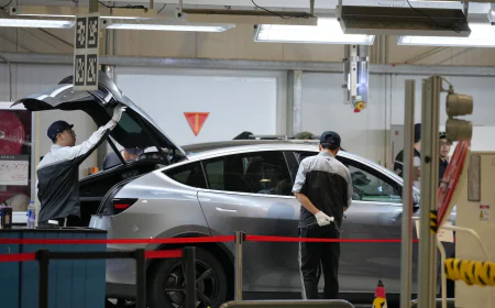 Tesla leader believes Shanghai factory operations will play a role in robot mass production