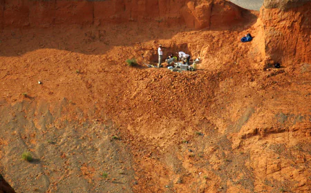 A New Exhibition at New York’s Natural History Museum Honors Fossil Hunters