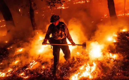 Wildfires used to 'go to sleep' at night. Climate change has them burning overtime