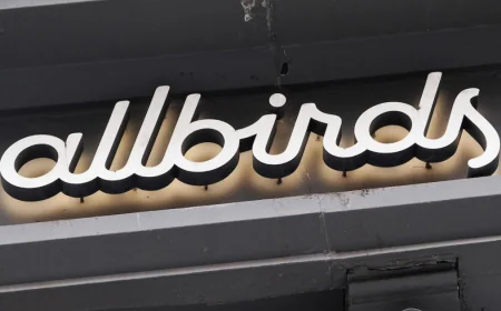 Can Allbirds take flight as an AI company?