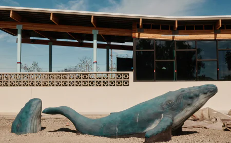 A New Museum in California Aims to Draw Children to Science