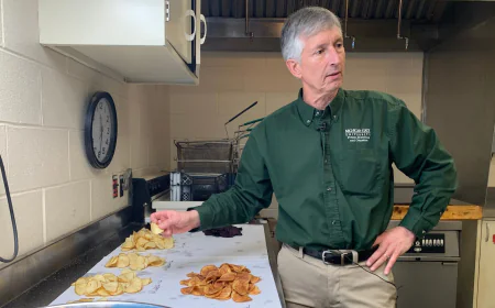 Researchers spent decades breeding better potatoes, and their work isn't done