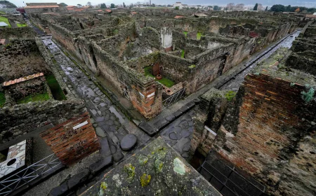 Archaeologists at Pompeii use artificial intelligence to reveal face of one victim
