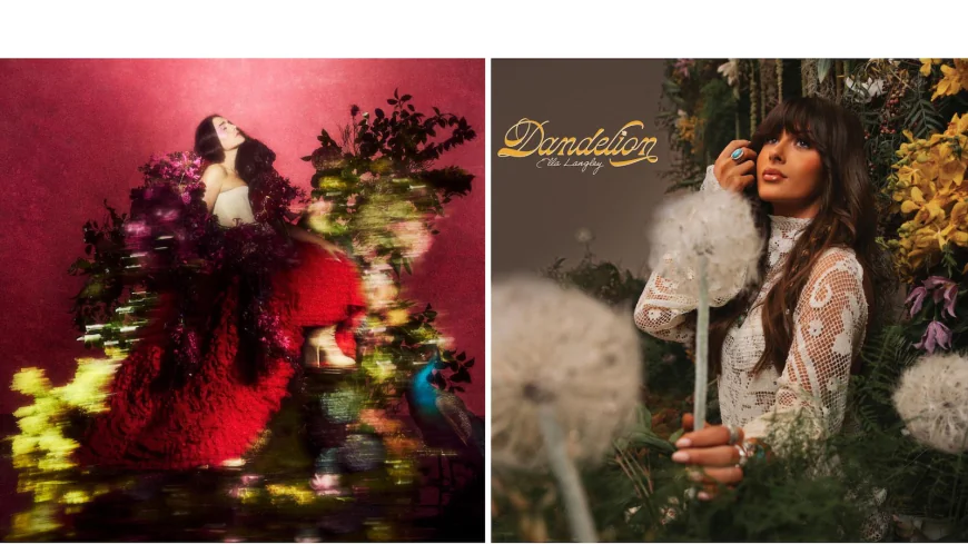 What to Stream: Sydney Sweeney, 'Malcolm in the Middle,' Jonah Hill, 'Hacks' and Ella Langley