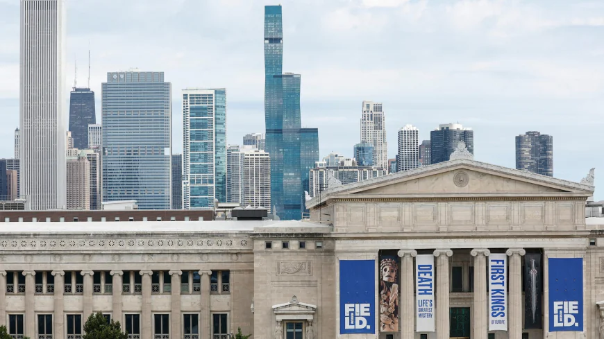 Scientists say the world's oldest octopus fossil isn't an octopus after all