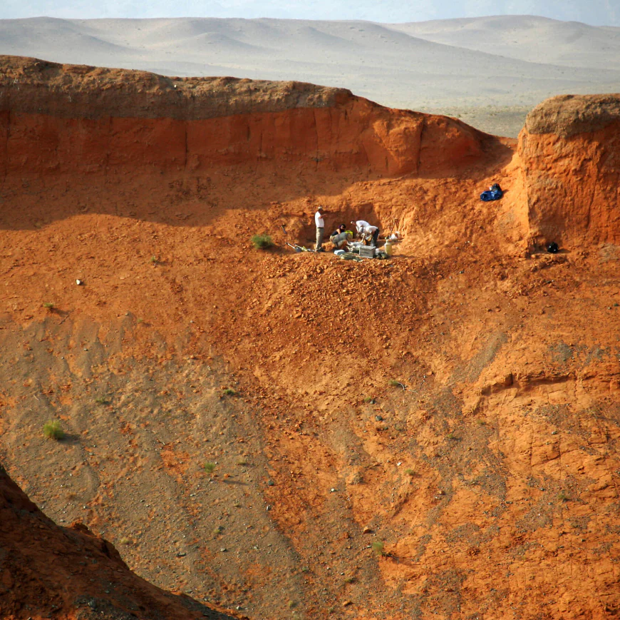 A New Exhibition at New York’s Natural History Museum Honors Fossil Hunters