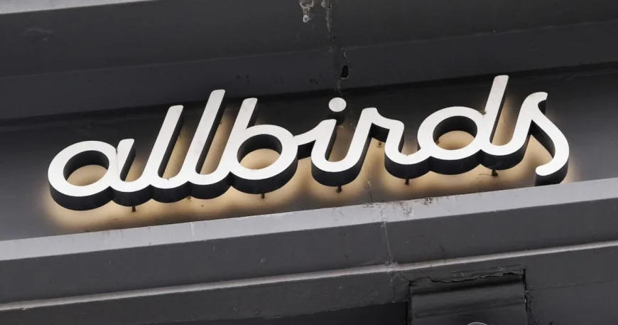 Can Allbirds take flight as an AI company?